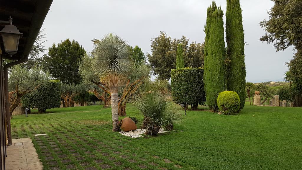 Tragliata Aquilamaior المظهر الخارجي الصورة