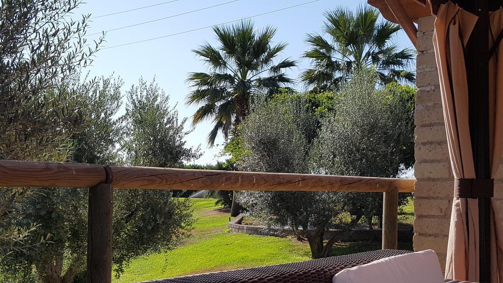 Tragliata Aquilamaior المظهر الخارجي الصورة