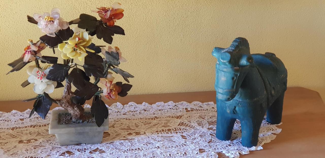 Tragliata Aquilamaior المظهر الخارجي الصورة