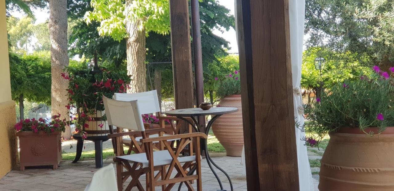 Tragliata Aquilamaior المظهر الخارجي الصورة
